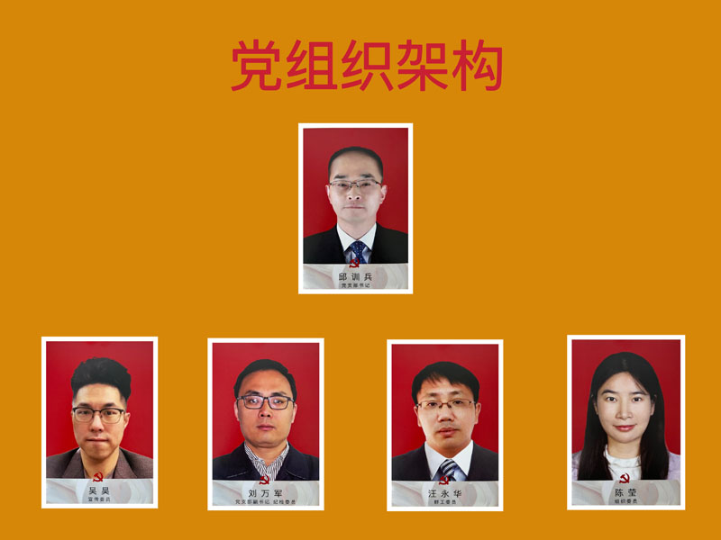 1698373523126387.jpg 党组织架构.jpg